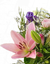 Screenshot_20210611-112646-1-hhbhbbhh