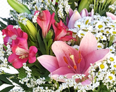 Screenshot_20210611-112829-1-vf