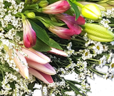 Screenshot_20210611-112837-1-jjbb