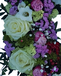 Screenshot_20210615-055231-1-xx