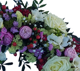 Screenshot_20210615-055231-1-xxxx