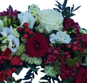 Screenshot_20210615-055405-1-hh