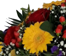 Screenshot_20210616-160310-1-ccn