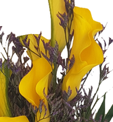 Screenshot_20210617-124510-1-gg