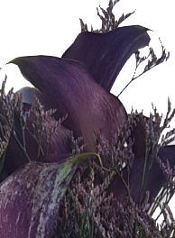 Screenshot_20210617-124615-1-kkhh