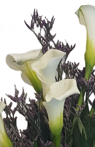 Screenshot_20210617-124737-1-bb