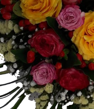 Screenshot_20210618-130244-1-nRcepJoCKruAvq