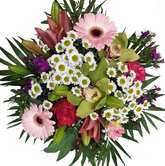 Screenshot_20210618-173640-1-v