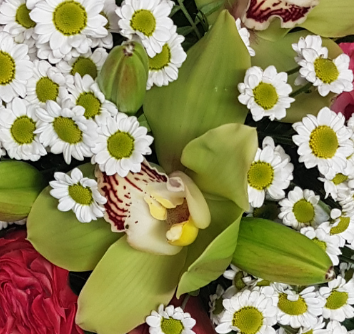 Screenshot_20210618-173640-1-vgg