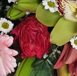 Screenshot_20210618-173640-1-vggff