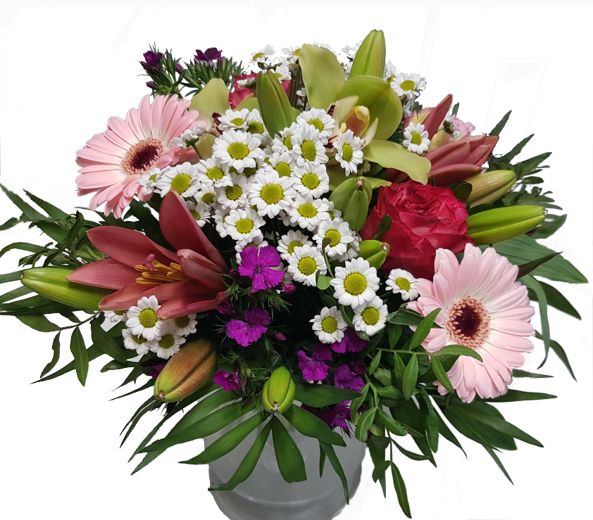 Screenshot_20210618-173651-1-ggvv