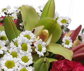 Screenshot_20210618-173651-1-ggvvv