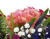 Screenshot_20210618-173924-1-bb