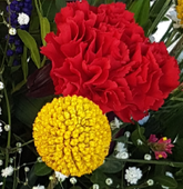 Screenshot_20210618-173924-1-bbnnn