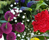 Screenshot_20210618-173954-1-rrbhhh