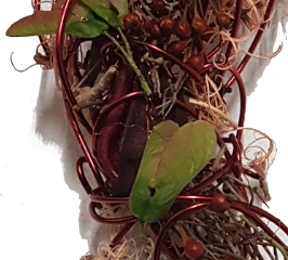 Screenshot_20210624-121006-1-ggbgb