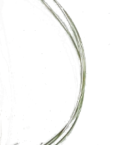 Screenshot_20210624-121029-1-nn