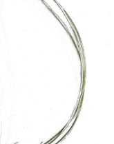 Screenshot_20210624-121029-1-nn