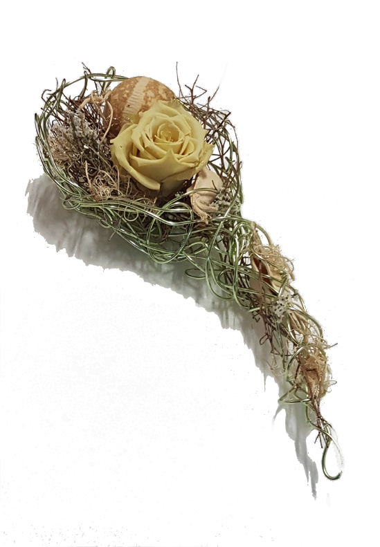 Screenshot_20210624-121117-1