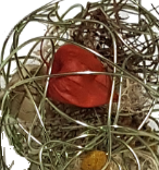 Screenshot_20210624-121157fggvvv