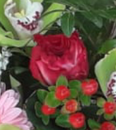 Screenshot_20210628-115627-1-ggff