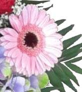 Screenshot_20210628-115627-1-ggffhh