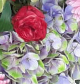 Screenshot_20210628-115627-1-ggffhhhh