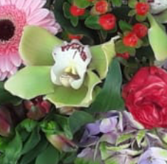 Screenshot_20210628-115627-1-ggffhhhhhh