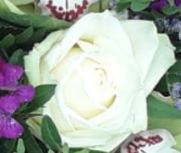 Screenshot_20210628-120326-1-33