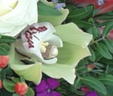 Screenshot_20210628-120326-1-33eerr