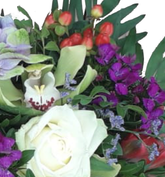 Screenshot_20210628-120326-1-33eerrff