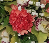 Screenshot_20210630-110818-1-2w