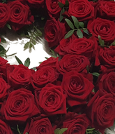 Screenshot_20210721-073603-1-11