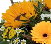 Screenshot_20210727-122804-1-11