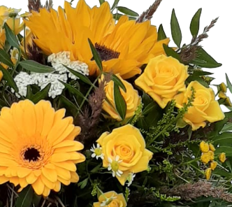 Screenshot_20210727-122804-1-1