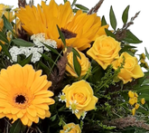 Screenshot_20210727-122804-1-1