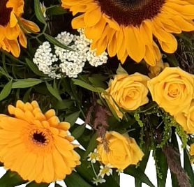 Screenshot_20210727-122842-1-111