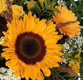 Screenshot_20210727-122842-1-11