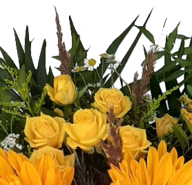 Screenshot_20210727-122842-1-1