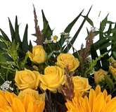 Screenshot_20210727-122842-1-1