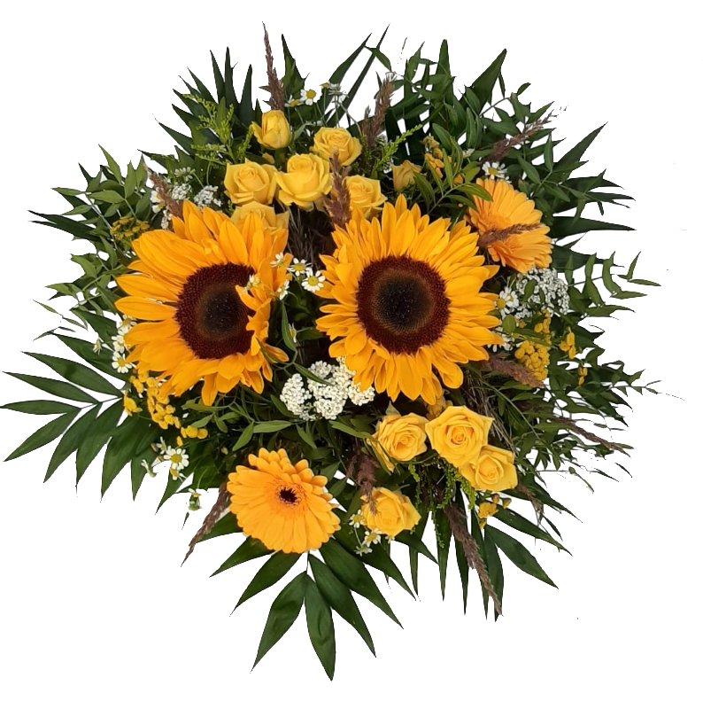 Screenshot_20210727-122842-1