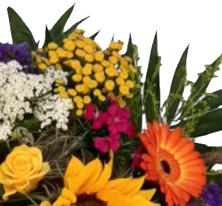 Screenshot_20210727-123105-1-11