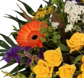 Screenshot_20210727-123105-1-1