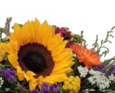 Screenshot_20210727-123150-1-1