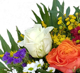 Screenshot_20210802-085858-1-1zshS7b6qaroVS