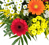 Screenshot_20210802-085918-1-1sMcCz5KeDUeFS