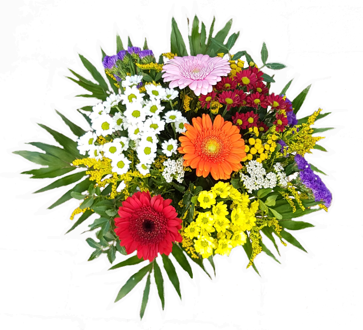 Screenshot_20210802-085918-1K71IdzsdJhwvz