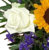 Screenshot_20210802-102001-1-11XFO7kBbpKqZKc