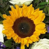 Screenshot_20210802-102001-1-1eKGSYg7I41FgF