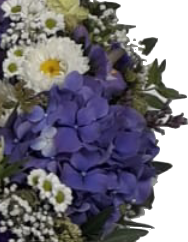 Screenshot_20210805-062236-1-1